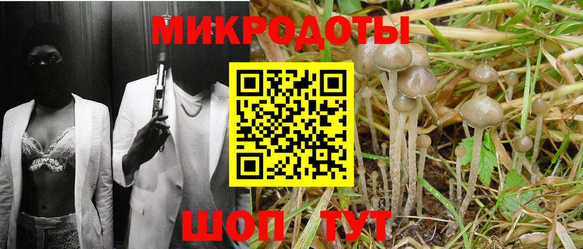 Галлюциногенные грибы ЛСД  Вход с VPN  Бердск  Псилоцибиновые грибы Psilocybine cubensis 