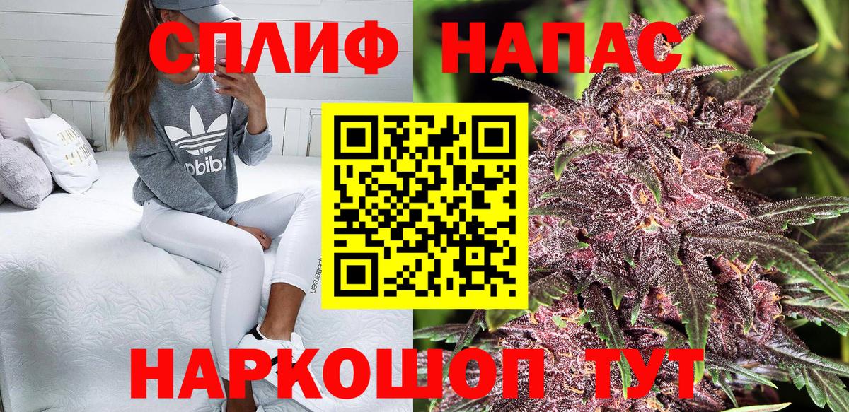 Канабис конопля  Вход с VPN  Бошки Шишки MAZAR  Бердск  Марихуана White Widow 